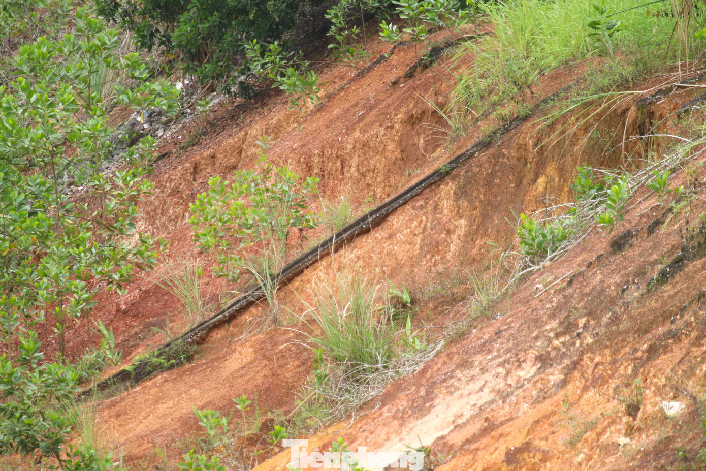 Các hạng mục trên tuyến như bờ kè, mặt kênh, các mương rãnh bê tông dọc, ngang gia cố mái, cống tiêu nước... nhiều nơi bị nứt toác, đổ sập hoàn toàn.