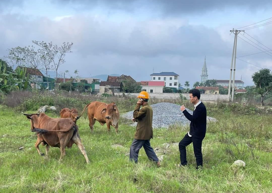 Cộng đồng mạng trợ giúp ông Sơn tìm thấy 3 con bò đi lạc cách nhà hơn 10km. Cộng đồng mạng trợ giúp ông Sơn tìm thấy 3 con bò đi lạc cách nhà hơn 10km.
