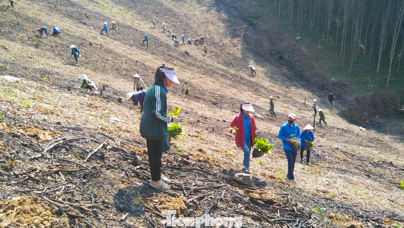 Hoàn cảnh gia đình anh Hoan rất khó khăn khi con của anh mắc bệnh hiểm nghèo đang điều trị tại Bệnh viện Nhi Trung ương. Trước hoàn cảnh khó khăn và không có người trồng rừng, các đoàn viên thanh niên cùng hội viên phụ nữ xã Thành Sơn đã đến trồng tái tạo lại cánh rừng keo sau thu hoạch giúp gia đình anh Hoan