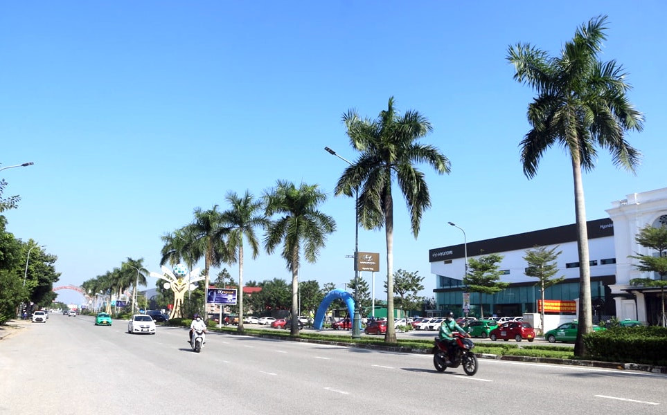 Được trồng từ nhiều năm trước nên cây cau vua cao lớn, có cây chu vi thân cây lên đến 1m. Được trồng từ nhiều năm trước nên cây cau vua cao lớn, có cây chu vi thân cây lên đến 1m.