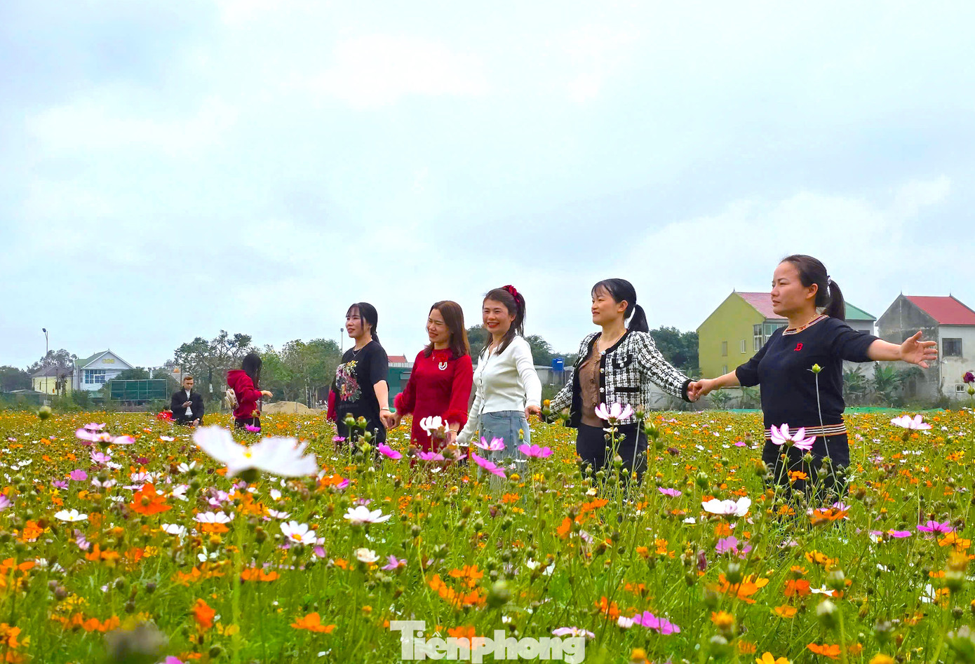 Trước chùa là một cánh đồng được trồng nhiều loài hoa rực rỡ, thu hút du khách về chụp hình ghi lại những khoảnh khắc đầu năm. Trước chùa là một cánh đồng được trồng nhiều loài hoa rực rỡ, thu hút du khách về chụp hình ghi lại những khoảnh khắc đầu năm.