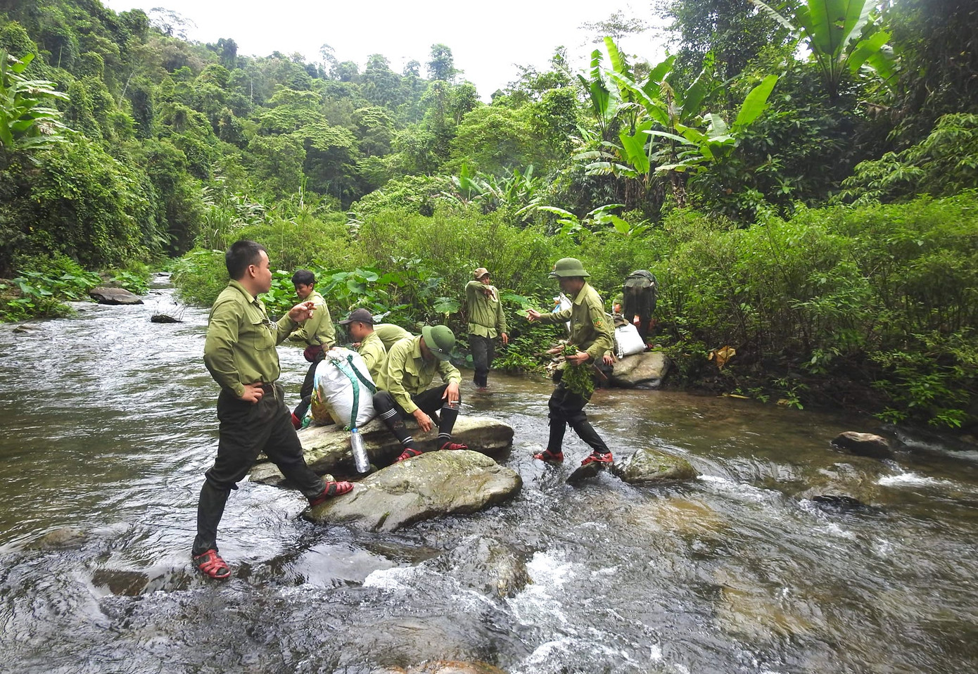 Nhóm tuần tra, bảo vệ rừng ở Vườn quốc gia Pù Mát (tỉnh Nghệ An) thường được nhiều người gọi với cái tên “Đội đặc nhiệm”. Đúng như tên mọi người đặt, nhóm đã liên tục tuần tra để triệt phá, ngăn chặn các đối tượng săn bắt thú, tháo gỡ hàng nghìn chiếc bẫy, nhằm bảo vệ cánh rừng nguyên sinh và bảo vệ thú rừng, bảo tồn đa dạng sinh học.