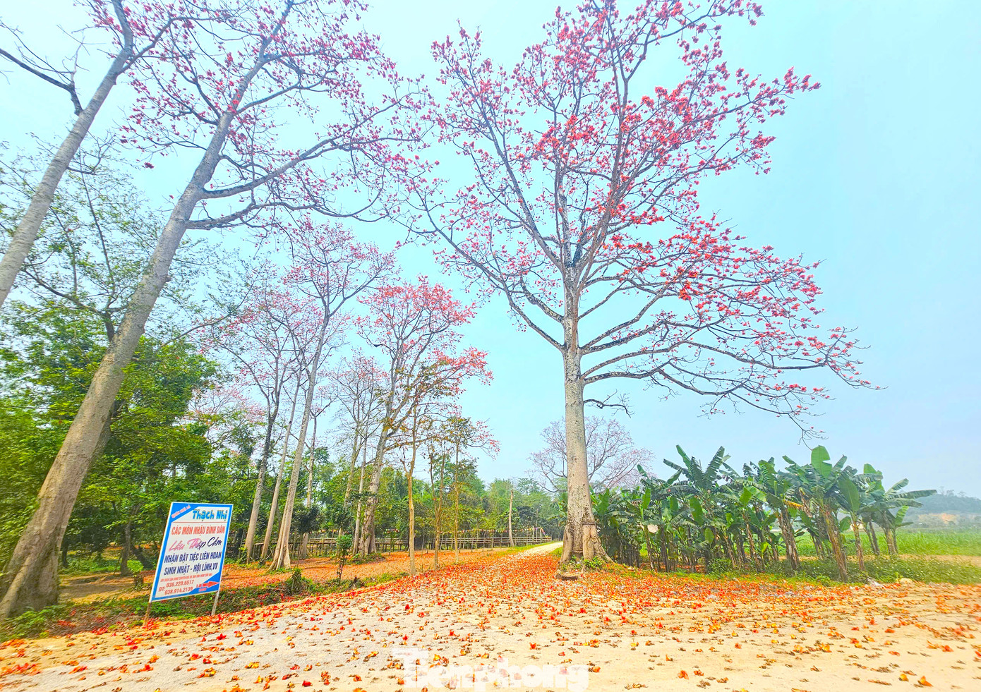 Nằm bên tả ngạn sông Lam, xã Tam Đỉnh bốn bề sông núi và đồng ruộng. Những cây hoa gạo cổ thụ bung nở đỏ rực như mời gọi du khách về với cảnh sắc thiên nhiên hùng vĩ, nên thơ của vùng bán sơn địa này.