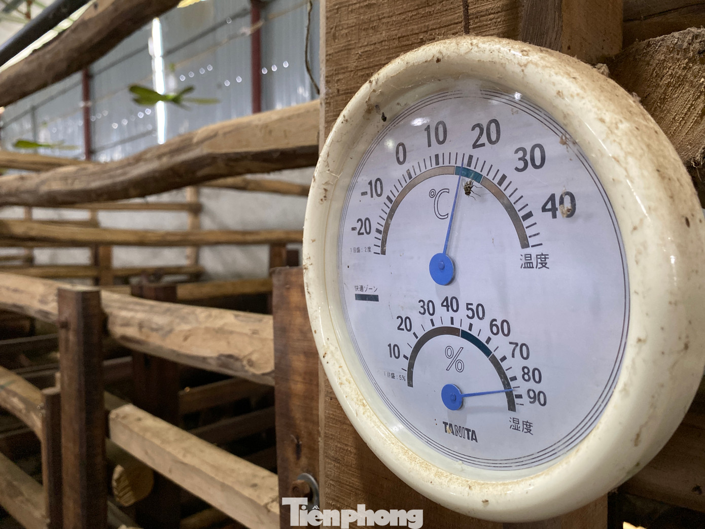 Trang trại được anh Thắng đầu tư hiện đại, bài bản với hệ thống quạt làm mát, máy đo độ ẩm. Chủ trang trại còn lắp thêm camera để giám sát, kịp thời xử lý những trường hợp bất trắc xảy ra với đàn hươu, nai giá trị của mình.