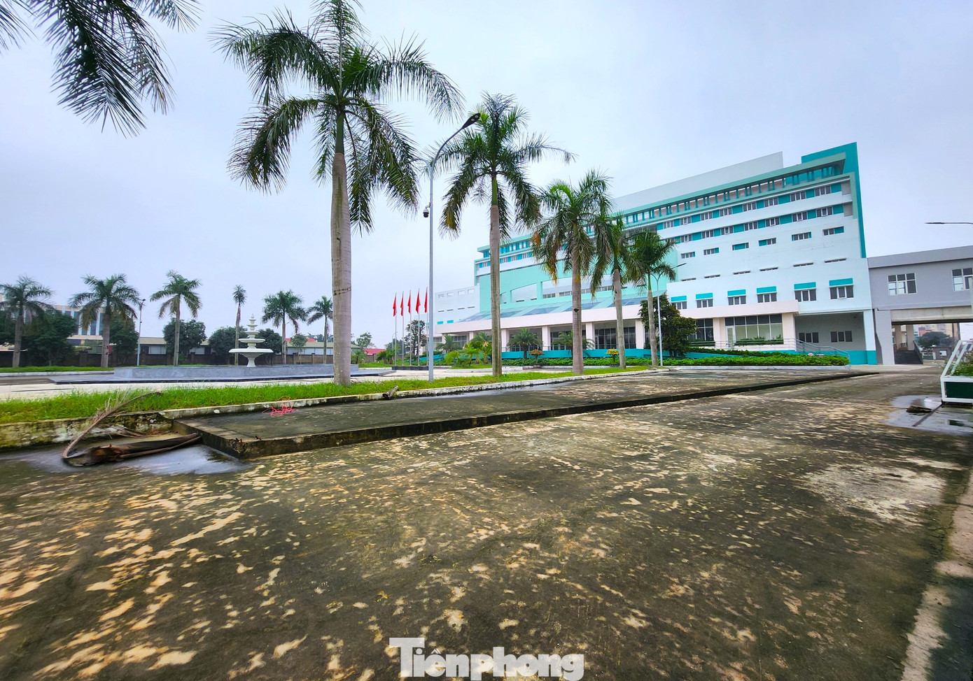 Đây là dự án được triển khai theo hình thức đối tác công - tư lớn nhất khu vực Bắc Trung Bộ. Các bên thỏa thuận liên doanh liên kết thành lập Công ty cổ phần Bệnh viện Hữu nghị Đa khoa Nghệ An với tổng số vốn điều lệ 260 tỷ đồng và được thành lập bởi 3 cổ đông sáng lập.