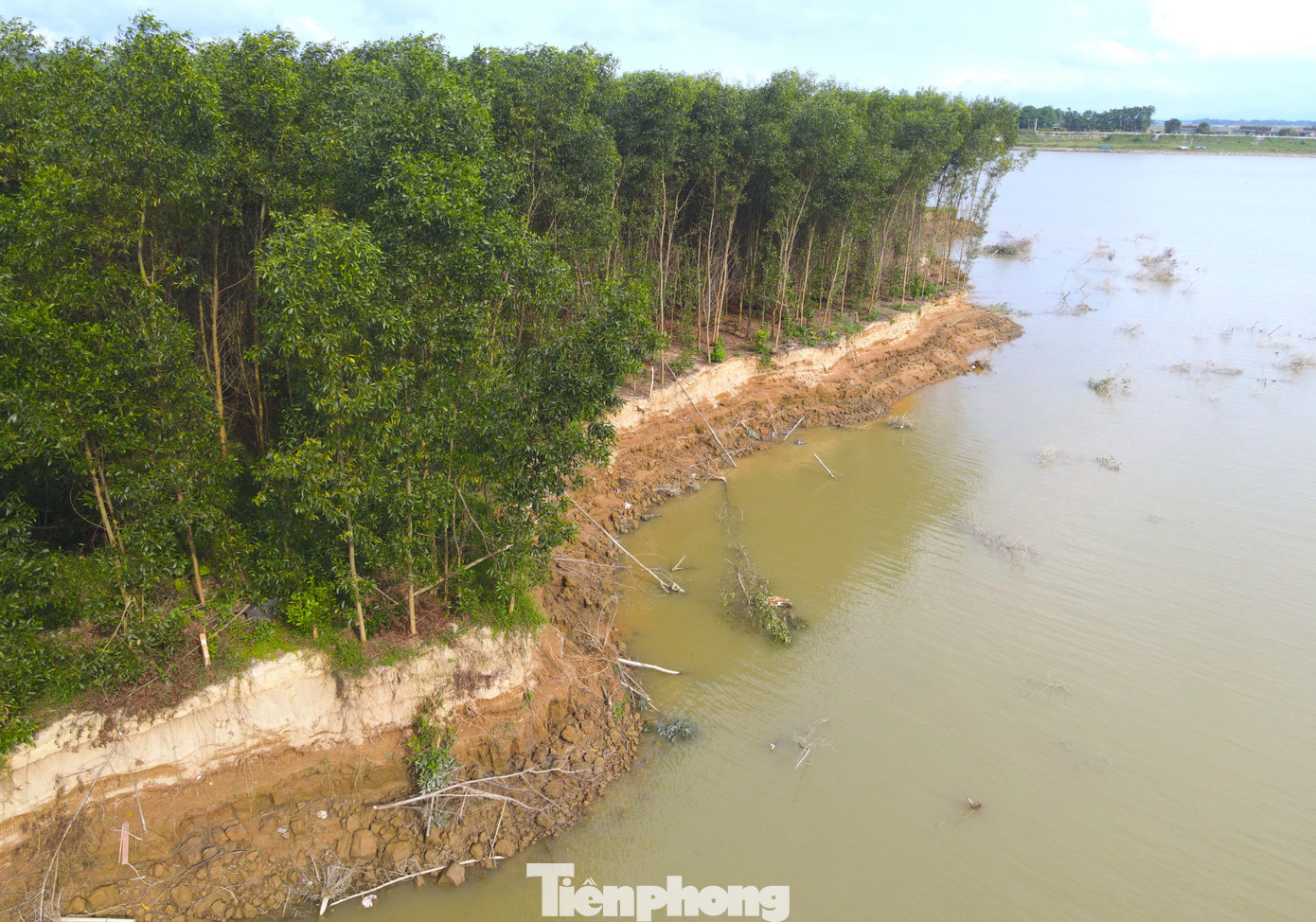 Tình trạng sạt lở xảy ra nghiêm trọng, lấn sâu vào khu vực trồng keo của ông Võ Văn Kỳ khiến một lượng lớn đất bị cuốn trôi, nhiều cây keo bị đổ xuống sông. Tình trạng sạt lở xảy ra nghiêm trọng, lấn sâu vào khu vực trồng keo của ông Võ Văn Kỳ khiến một lượng lớn đất bị cuốn trôi, nhiều cây keo bị đổ xuống sông.