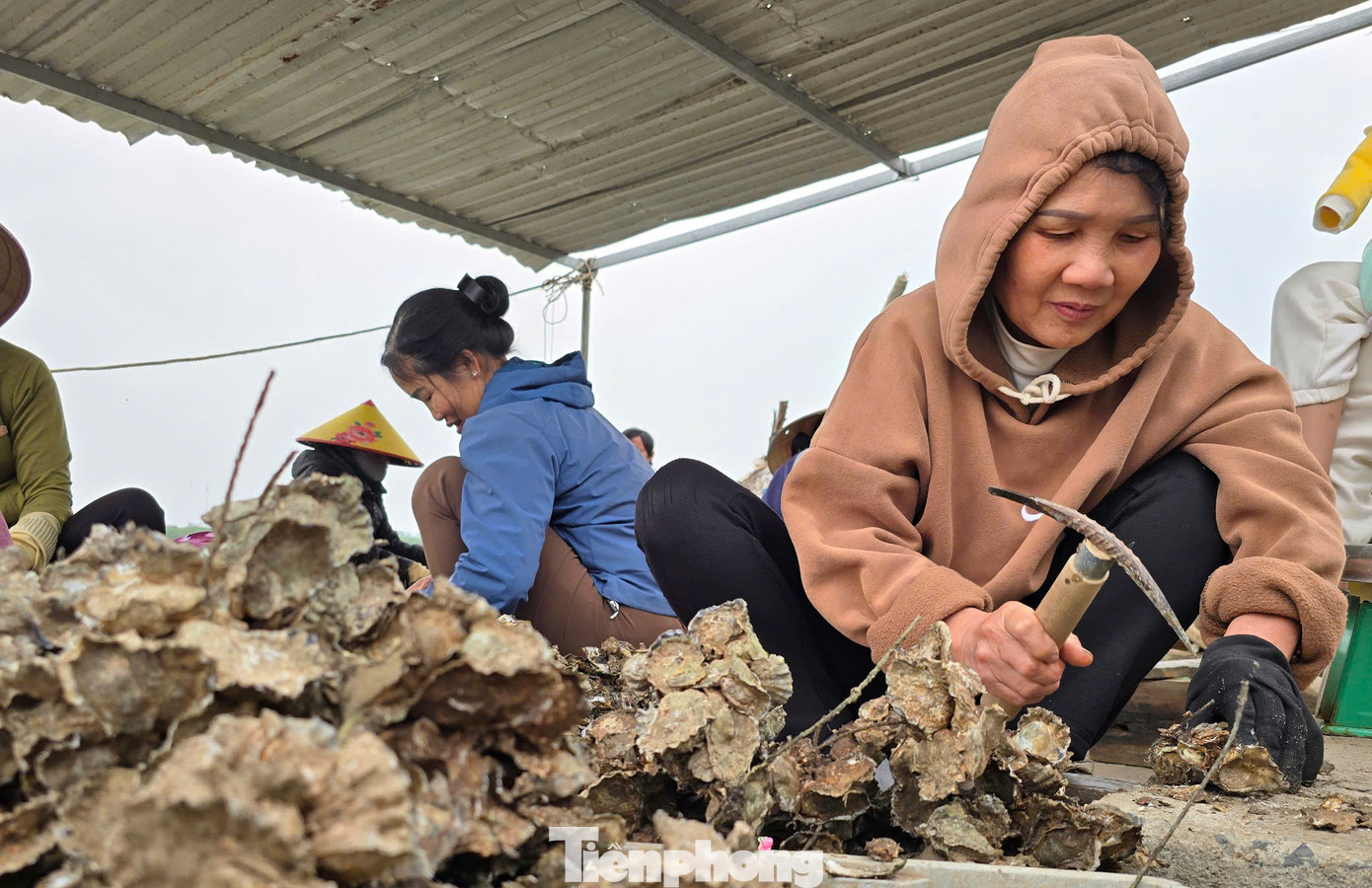 Tuy thu nhập ít nhưng đổi lại, nghề đục hàu không khó, không phải đi xa nên luôn thu hút đông đảo những người phụ nữ trong xã theo làm. Tuy thu nhập ít nhưng đổi lại, nghề đục hàu không khó, không phải đi xa nên luôn thu hút đông đảo những người phụ nữ trong xã theo làm.