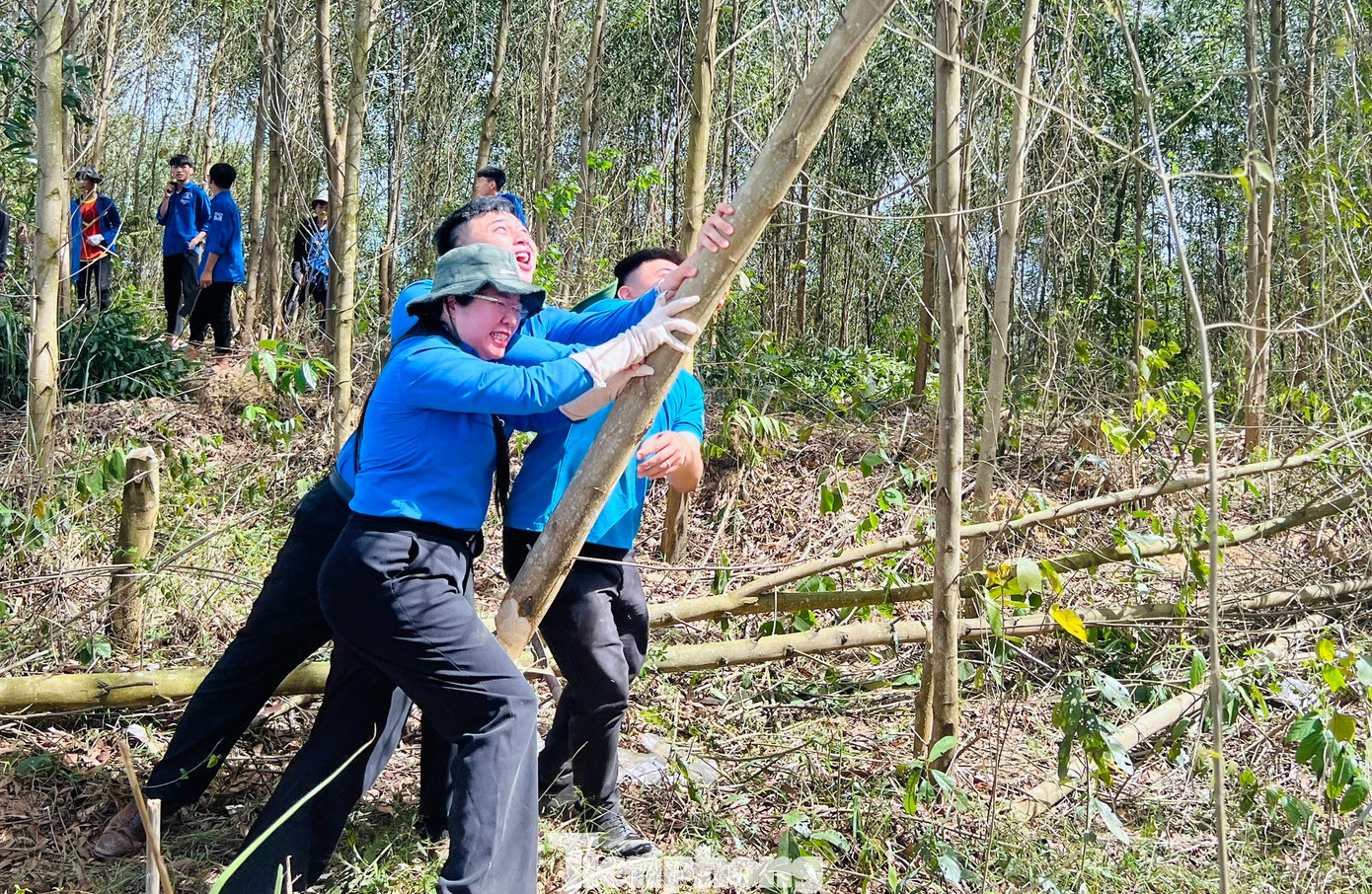 Tham gia hỗ trợ chặt hạ hơn 26 hecta với gần 9.000 cây các loại ảnh hưởng đến hành lang tuyến.