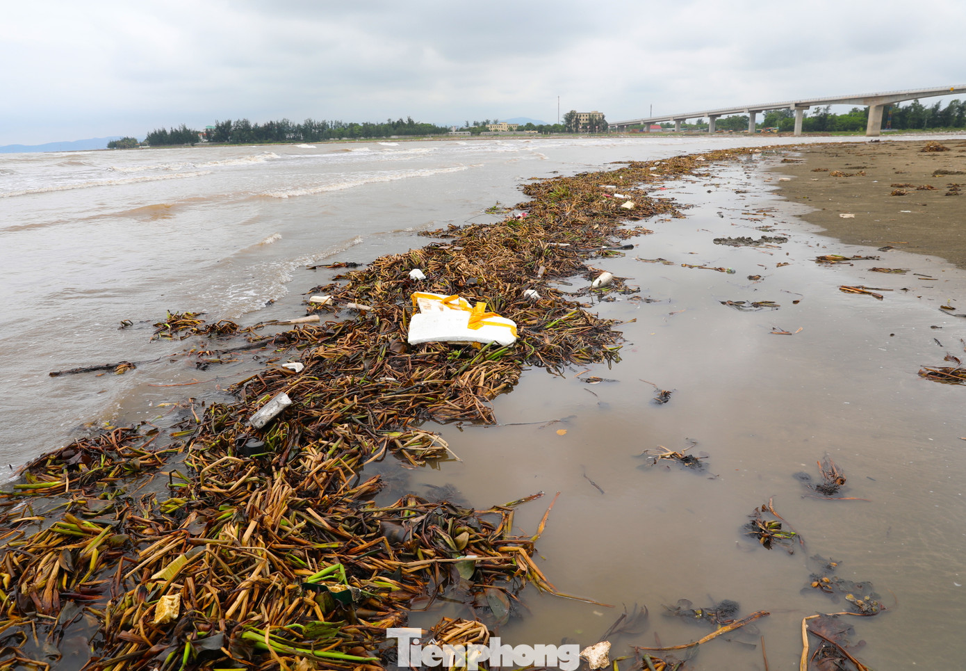Ông Lê Văn Thông - Chủ tịch UBND xã Diễn Kim cho biết, lượng rác thải này bắt nguồn từ các con sông đổ về cửa biển. Do xã Diễn Thành và Diễn Kim nằm 2 bên cửa sông nên đợt vừa qua mưa lớn, rác theo dòng nước chảy về và bị đánh dạt 2 bên bờ biển của 2 xã.