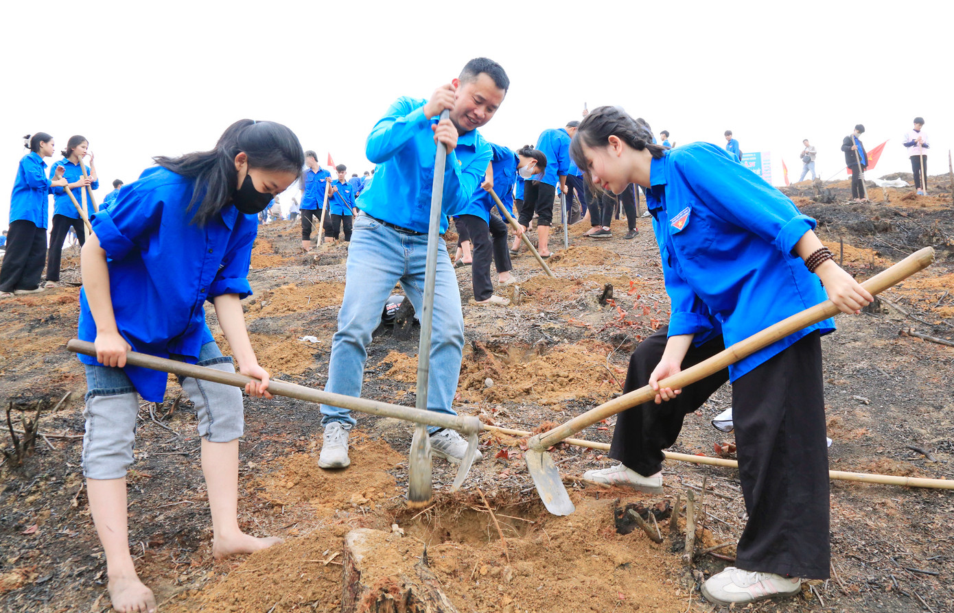 Để việc trồng cây được thuận tiện, toàn trường chia thành từng nhóm nhỏ và phân những công việc cụ thể như đào hố, trồng cây, lấp đất... Để việc trồng cây được thuận tiện, toàn trường chia thành từng nhóm nhỏ và phân những công việc cụ thể như đào hố, trồng cây, lấp đất...
