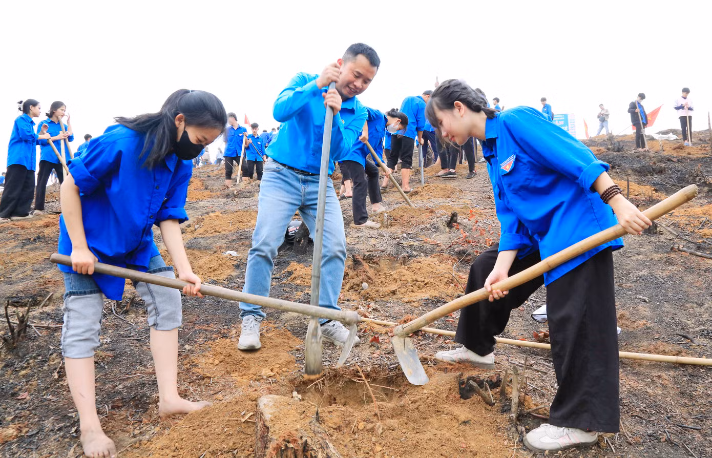 Để việc trồng cây được thuận tiện, toàn trường chia thành từng nhóm nhỏ và phân những công việc cụ thể như đào hố, trồng cây, lấp đất... Để việc trồng cây được thuận tiện, toàn trường chia thành từng nhóm nhỏ và phân những công việc cụ thể như đào hố, trồng cây, lấp đất...