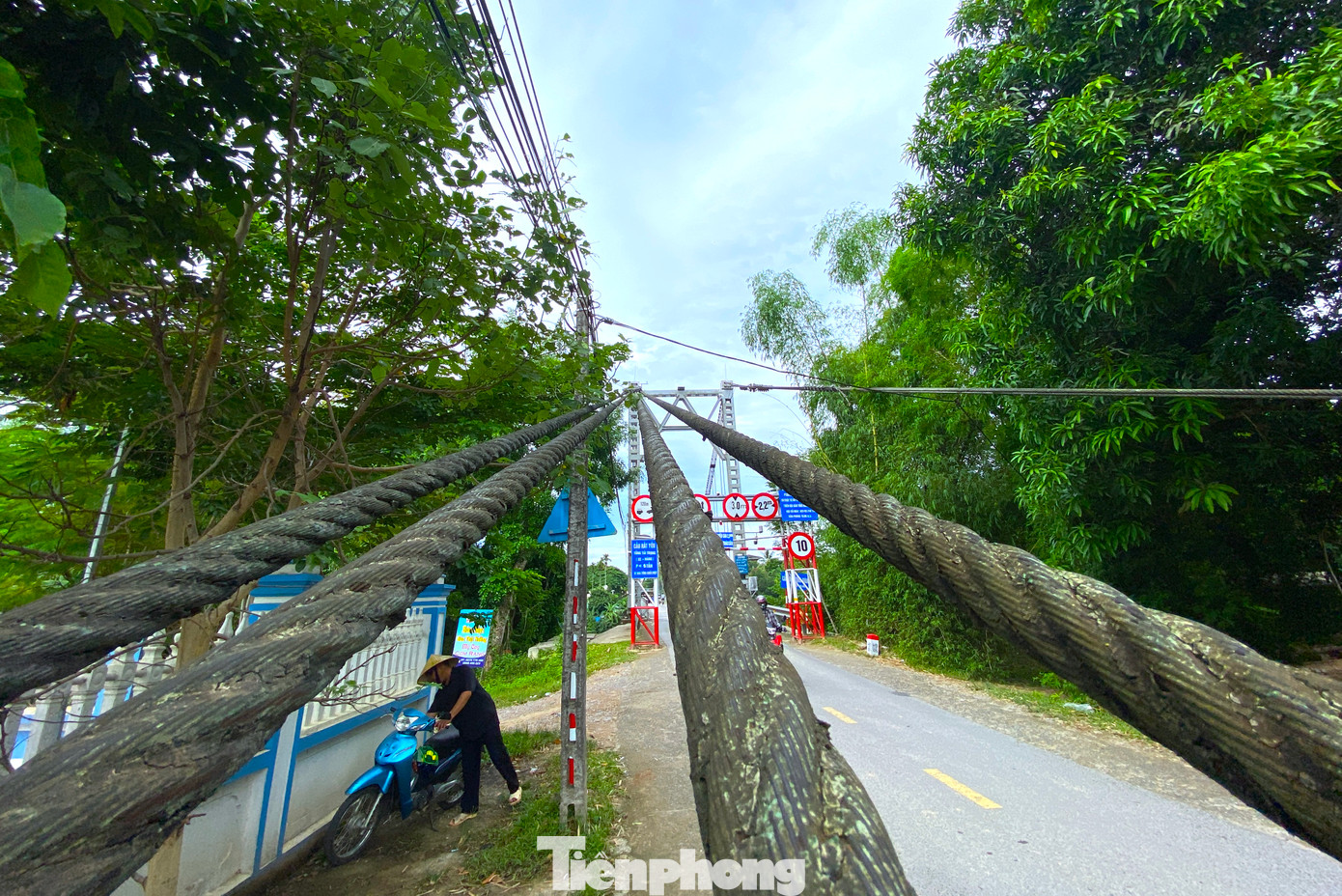 Là cầu treo nên cây cầu được níu đỡ bởi hệ thống dây cáp. Sau nhiều năm sử dụng, hệ thống dây cáp của cầu đã cũ kĩ.