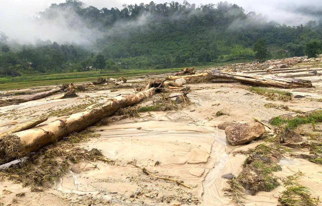 Nhiều cây lớn theo lũ quét trôi từ thượng nguồn xuống hạ lưu. Nhiều cây lớn theo lũ quét trôi từ thượng nguồn xuống hạ lưu.