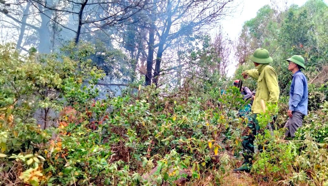 Sau gần 5 giờ đồng hồ dập lửa, đám cháy rừng thông mới được dập tắt. Sau gần 5 giờ đồng hồ dập lửa, đám cháy rừng thông mới được dập tắt.