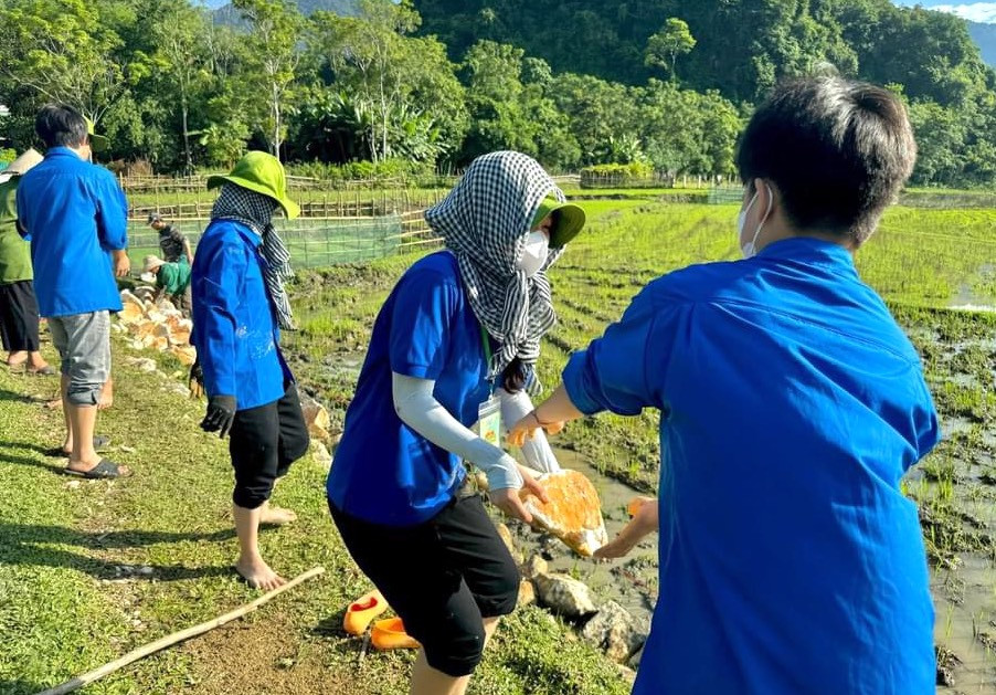 Các đoàn viên thanh niên bốc từng viên đá để làm đường.