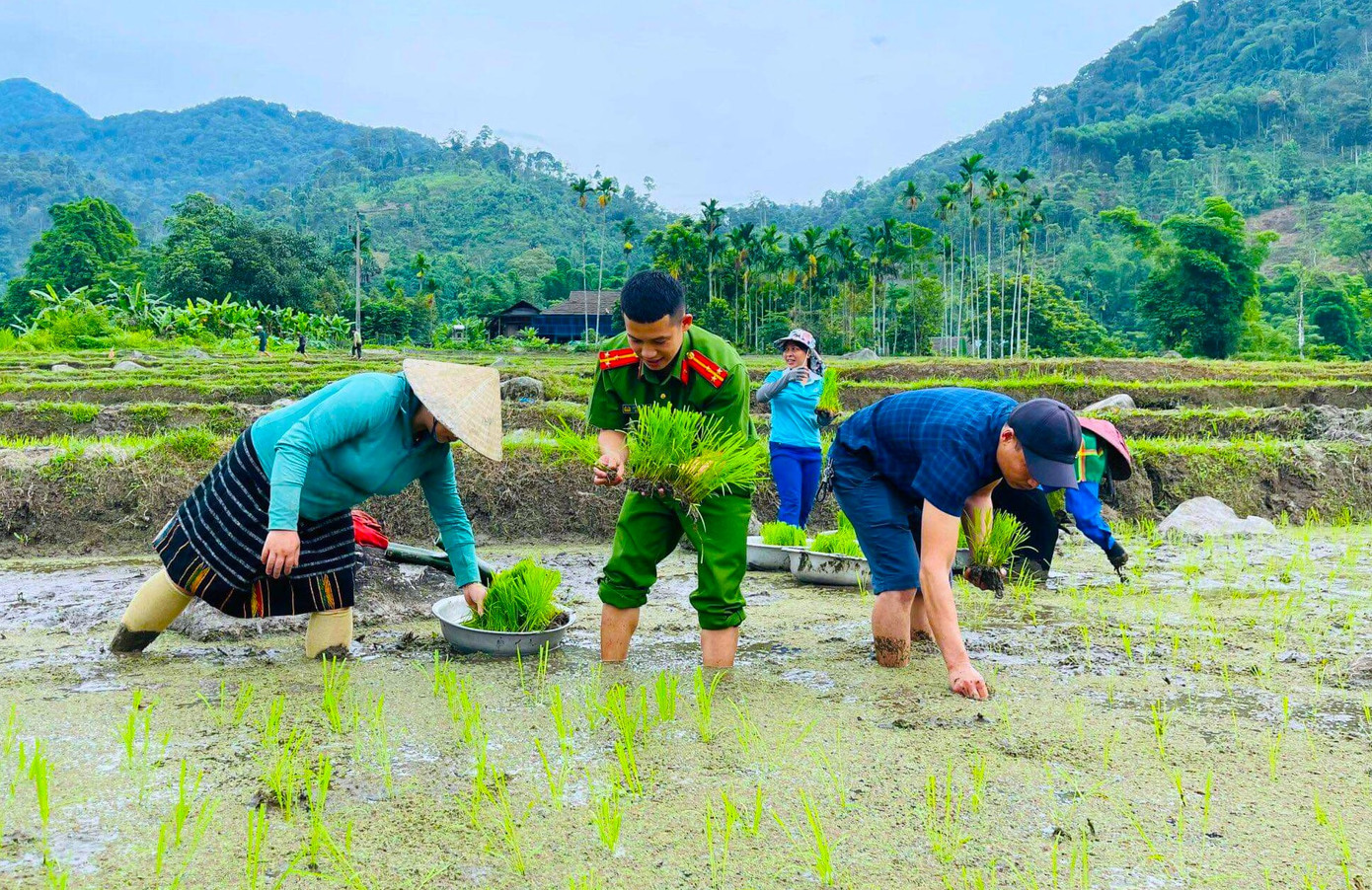 Hưởng ứng ngày cao điểm Chiến dịch tình nguyện Hành quân xanh, sáng 22/6, Huyện đoàn Quế Phong phối hợp với chi đoàn Công an huyện tổ chức chương trình "Bát cháo nhân ái" tại TTYT huyện; các cơ sở Đoàn toàn huyện phối hợp với chi đoàn các Đồn biên phòng tổ chức ra quân lao động vệ sinh; phối hợp với lực lượng công an xã, thị trấn vệ sinh chỉnh trang khuôn viên Nghĩa trang Liệt sĩ huyện; tham gia cấy lúa giúp bà con nhân dân trên địa bàn. Hưởng ứng ngày cao điểm Chiến dịch tình nguyện Hành quân xanh, sáng 22/6, Huyện đoàn Quế Phong phối hợp với chi đoàn Công an huyện tổ chức chương trình "Bát cháo nhân ái" tại TTYT huyện; các cơ sở Đoàn toàn huyện phối hợp với chi đoàn các Đồn biên phòng tổ chức ra quân lao động vệ sinh; phối hợp với lực lượng công an xã, thị trấn vệ sinh chỉnh trang khuôn viên Nghĩa trang Liệt sĩ huyện; tham gia cấy lúa giúp bà con nhân dân trên địa bàn.