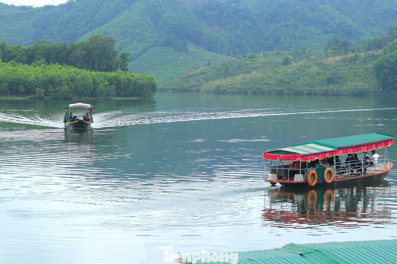 Đảo chè có rất nhiều nhưng chỉ có một số đảo chè khu vực trung tâm được các hộ dân làm dịch vụ du lịch cho du khách lên tham quan trải nghiệm, chụp ảnh. Để đến được các đảo chè, du khách sẽ đi thuyền với giá 50.000 đồng/1 người.