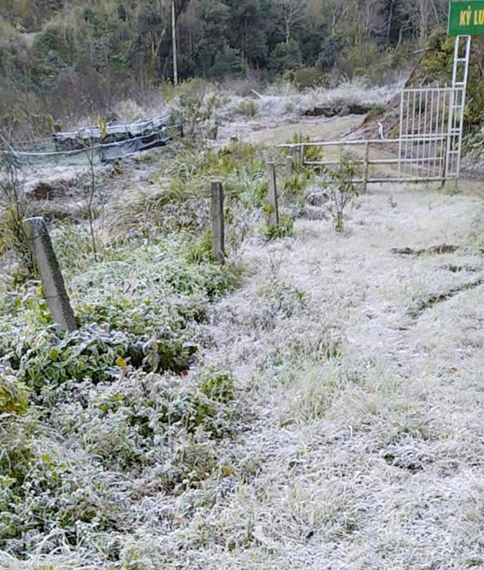 Mặt đất, cây cỏ tại Trạm kiểm soát Biên phòng Buộc Mú phủ một lớp băng trắng xóa.