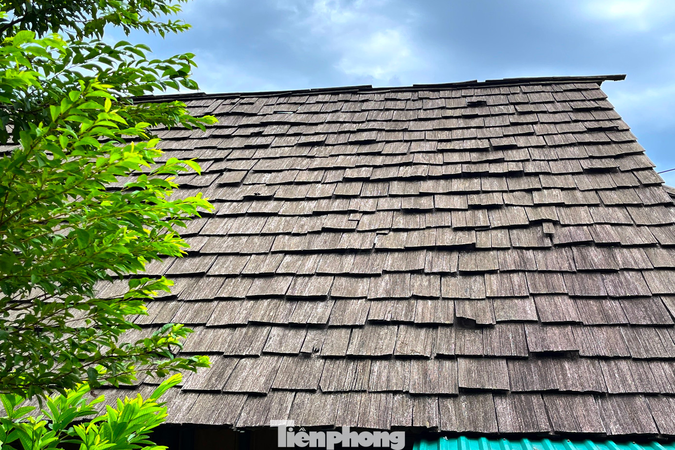 Để bảo tồn những mái nhà bằng gỗ quý này, nhiều gia đình khi sửa chữa mái nhà đã chuyển những tấm gỗ này cất dành làm trần, còn mái được thay thế bằng tôn.