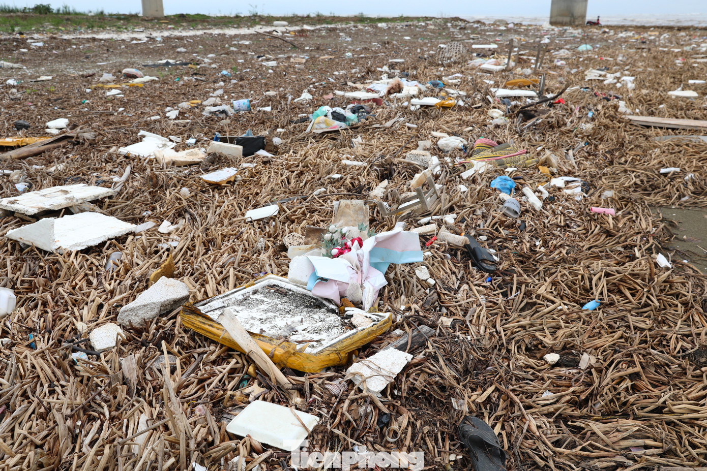 Không chỉ cây bèo, nhiều loại rác, thùng xốp, rác sinh hoạt cũng ngập tràn khu vực bờ biển và cửa biển qua xã Diễn Kim.