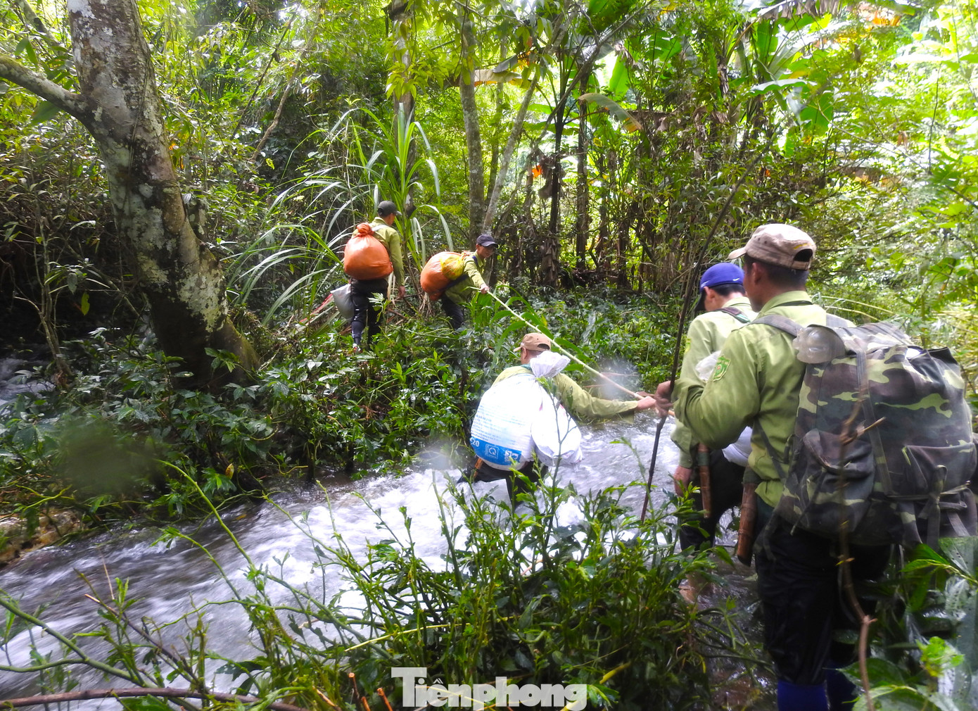 Những năm trước, tình trạng săn bắn thú rừng trên địa bàn rất nhiều. Để bảo vệ thú rừng, bảo vệ đa dạng sinh học, "Đội đặc nhiệm" chính thức được ra đời vào tháng 6/2018. “Đội đặc nhiệm” là sự kết hợp giữa lực lượng Kiểm lâm Vườn quốc gia Pù Mát (huyện Con Cuông, Nghệ An) với nhóm bảo vệ rừng chuyên trách (BVRCT) và lực lượng nhận khoán bảo vệ rừng.