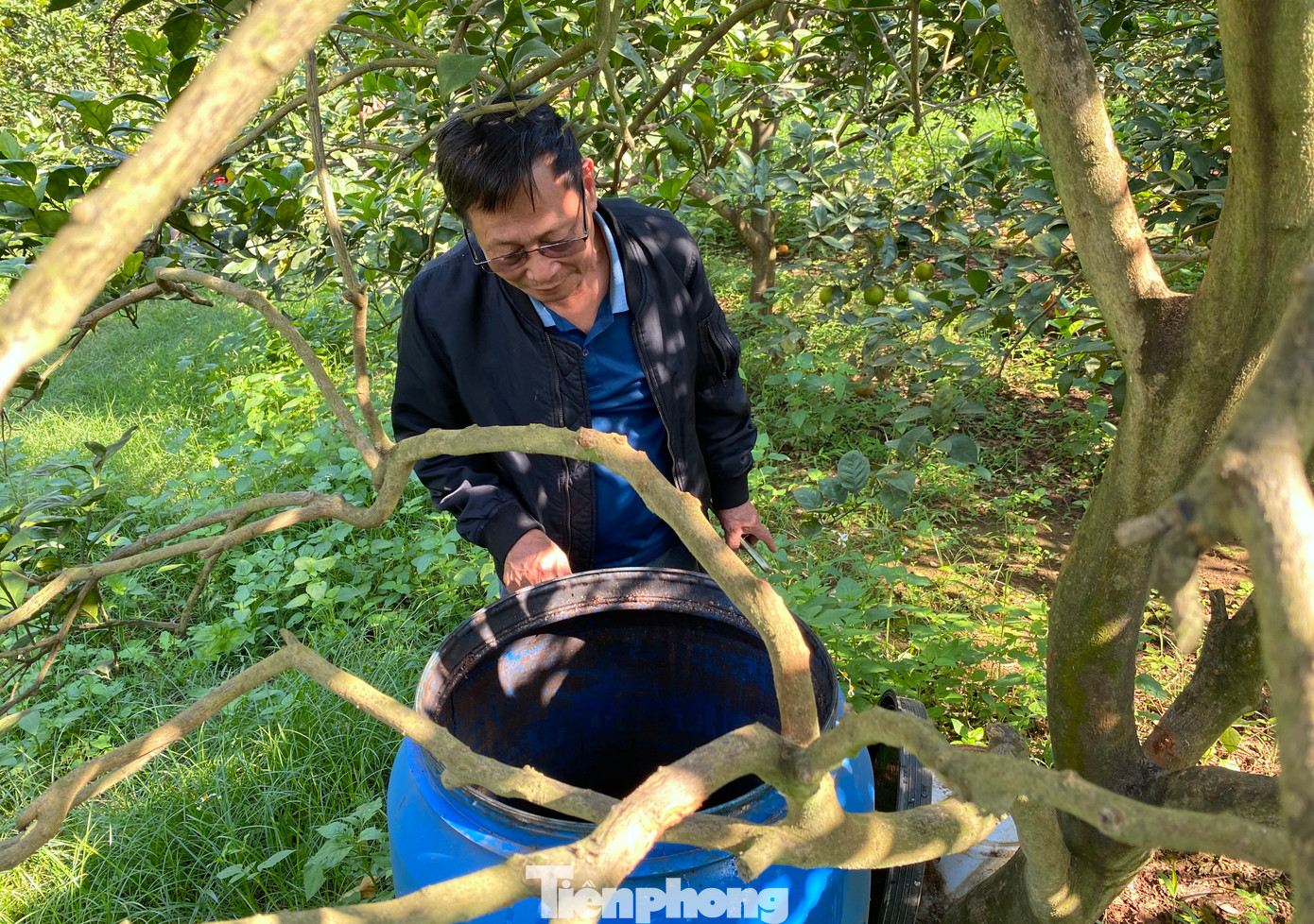 Ngoài việc áp dụng "tuyệt chiêu" để chống cam rụng, ông Biên còn tự sáng chế ra loại nước giúp đuổi côn trùng như bướm, ruồi vàng và các loại sâu bọ có hại khác cho cây cam.