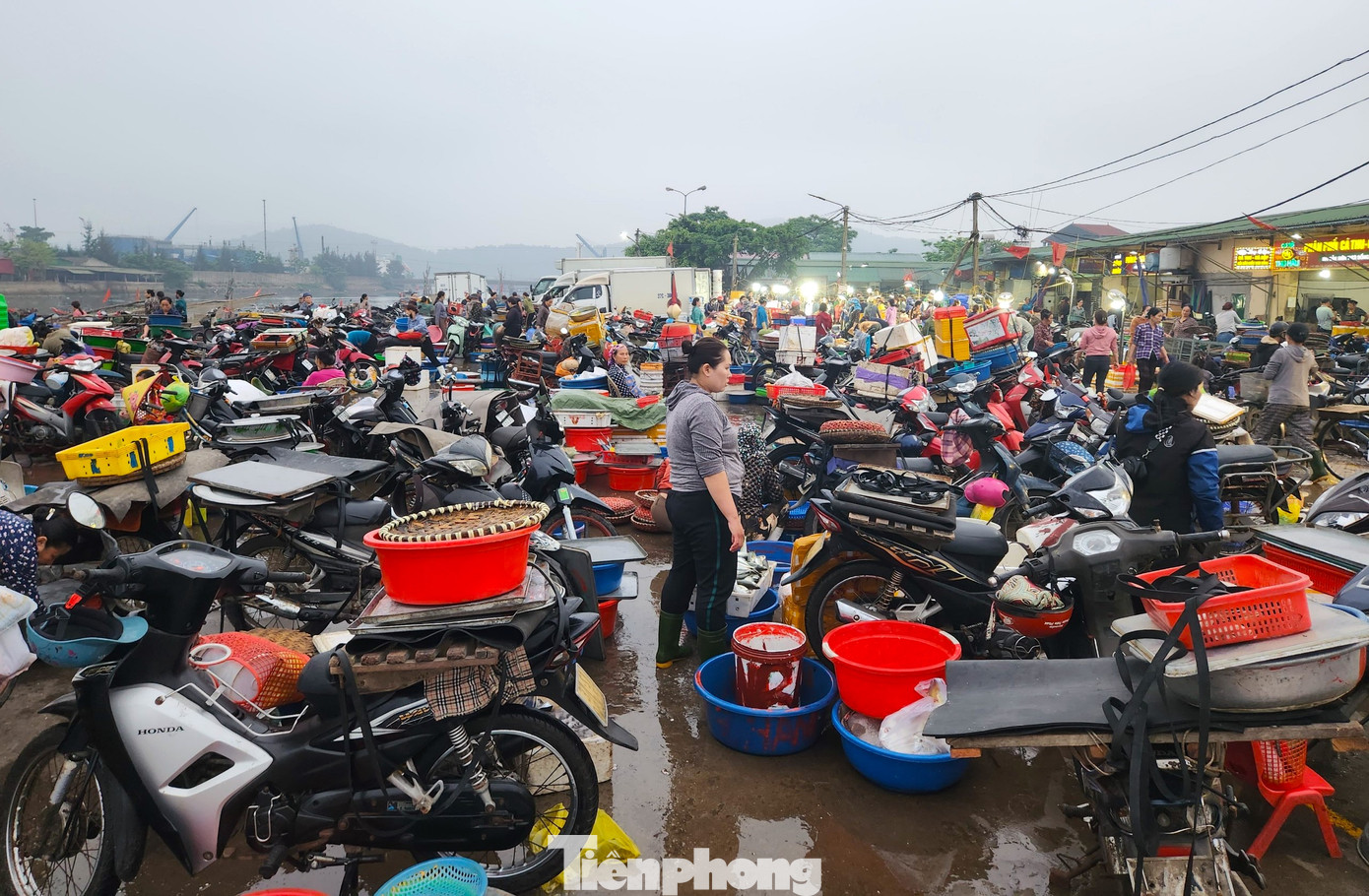 Trên bờ là khu chợ kinh doanh các mặt hàng hải sản. Bến cá và chợ được hình thành từ cả trăm năm trước. Đây được xem là chợ hải sản lớn nhất trong vùng. Tiểu thương khắp nhiều nơi về đây mua hàng để bán lại cho người dân ở các khu chợ gần xa trên khắp các huyện, thành, thị.