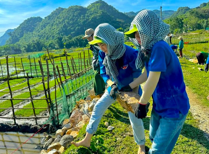 Các đoàn viên thanh niên bốc từng viên đá để làm đường.