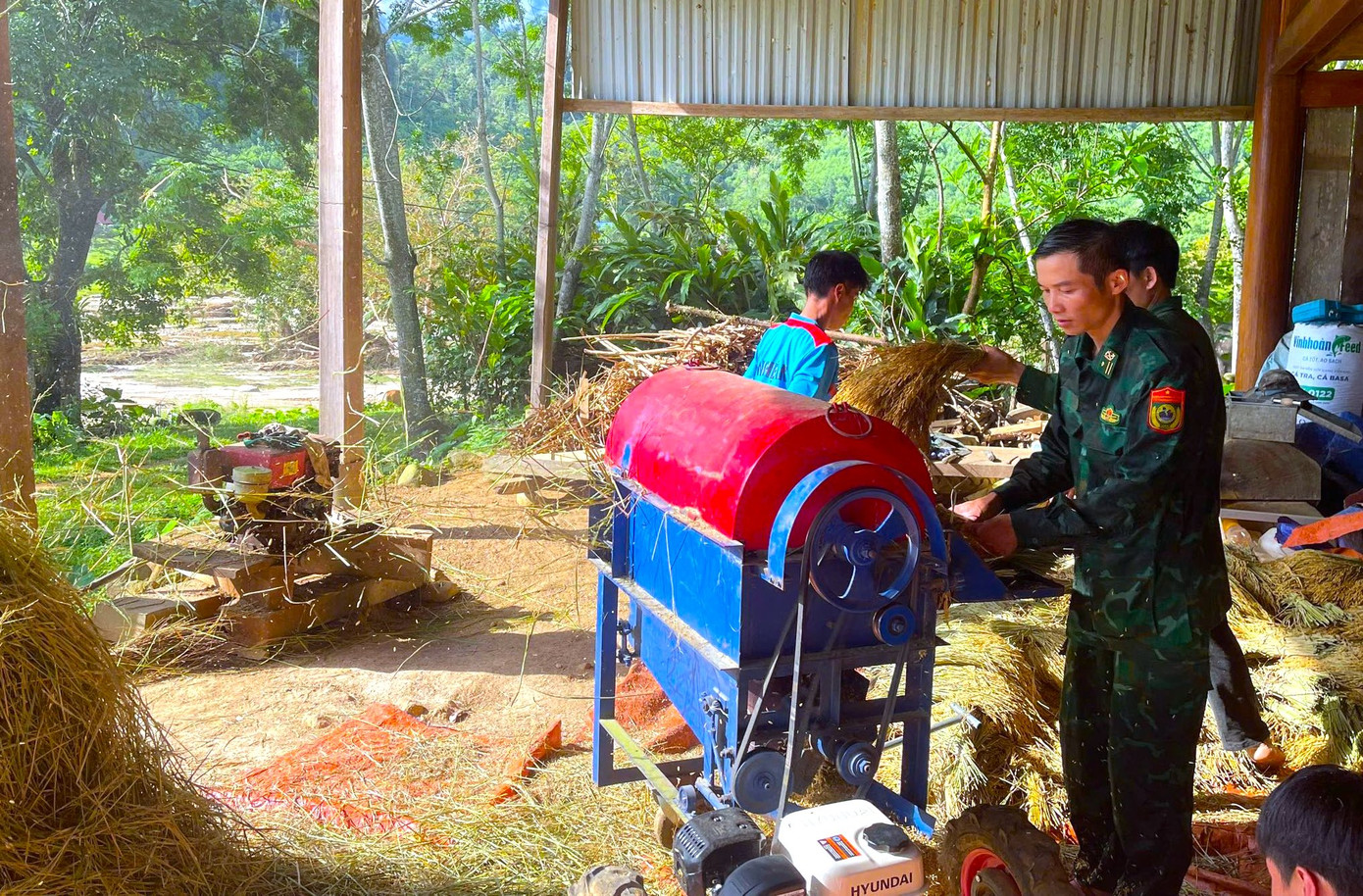 Rồi đưa về nhà tuốt và phơi. Rồi đưa về nhà tuốt và phơi.