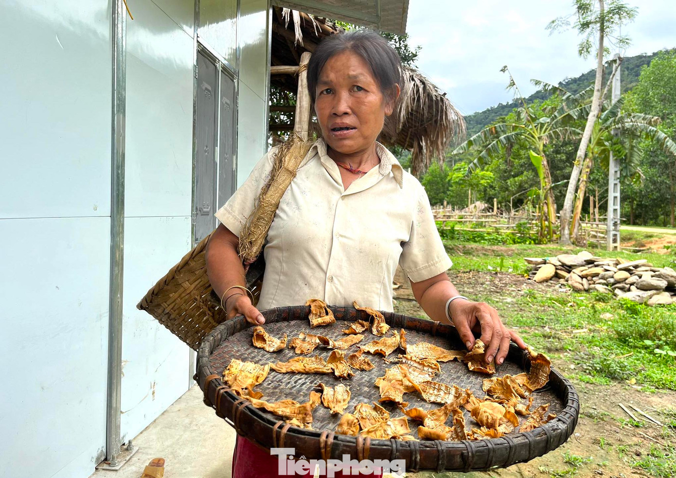 Người dân có thể luộc rồi phơi măng để nấu hoặc bán. Mỗi kg măng khô, người dân sẽ bán được với giá từ 150-180.000 đồng/1kg.