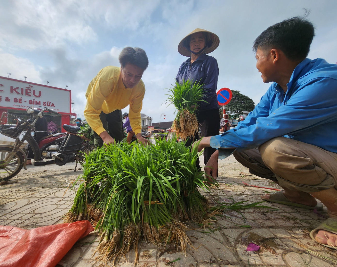 Nếu người bán mạ được vài trăm nghìn mỗi ngày thì người mua có khi phải bỏ ra từ 500 đến cả triệu đồng mới đủ mua mạ về dặm cho kín ruộng của gia đình.