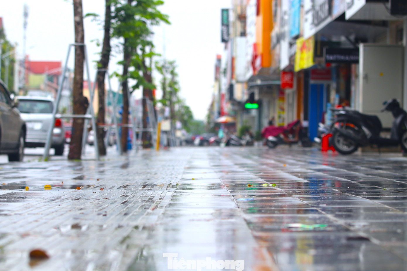 Tuyến phố sầm uất nhất thành phố Nguyễn Văn Cừ được sửa sang vỉa hè, trồng mới cây xanh, đầu tư lại hệ thống đèn điện mới, trang trí làm đẹp cho tuyến đường.