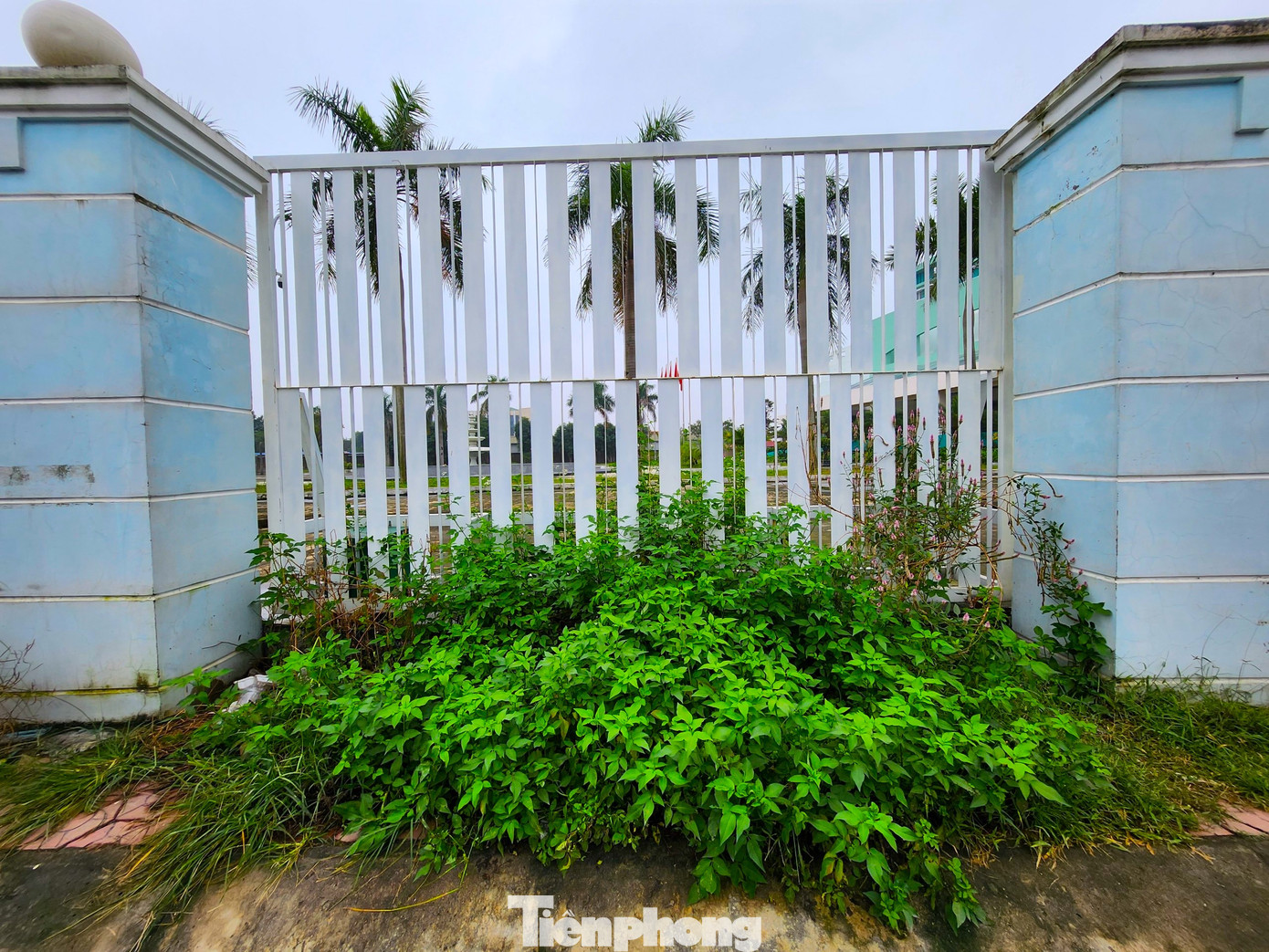 Các cổng của bệnh viện được đóng im lìm, cỏ dại mọc um tùm. Một bảo vệ túc trực tại cổng sau nơi dành cho công nhân ra vào làm việc cho hay, công tác xây dựng đang được triển khai, tuy nhiên bên trong chỉ có ít công nhân làm việc.