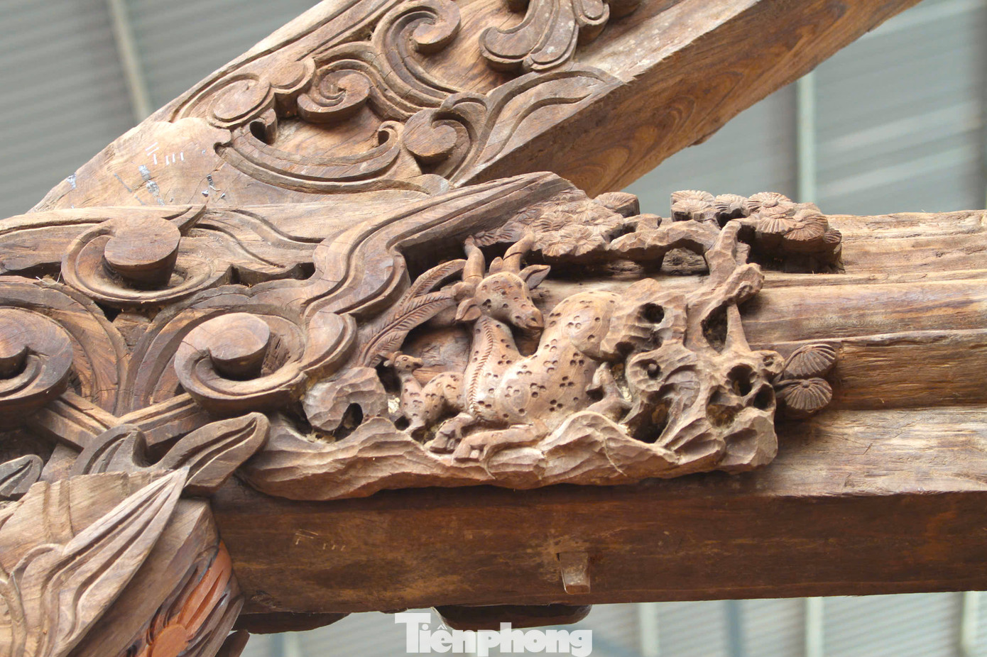 Ngoài ra, trên các khung gỗ còn được chạm trổ nhiều hình ảnh về các hoạt cảnh cuộc sống xã hội lúc bấy giờ như vinh quy bái tổ, xem điểm thi, thi võ, chèo thuyền, ngư tiều canh lục...