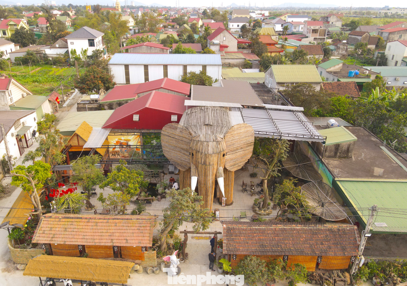 Con voi khổng lồ cao 12m được đặt giữa quán cafe tạo điểm nhấn đặc biệt cho quán và thu hút nhiều du khách, giới trẻ đến tham quan, chiêm ngưỡng.