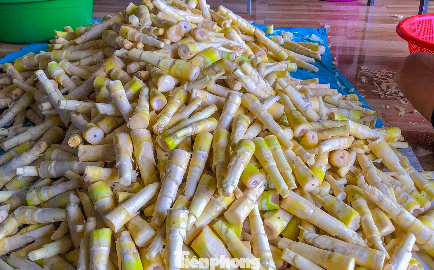 Ngoài bán cho thương lái, nhiều người hái măng rừng về để chế biến thành nhiều món ăn đặc sản khác nhau.