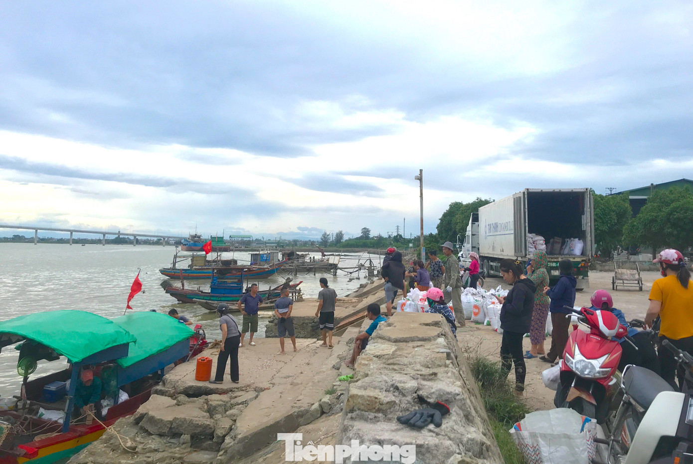 Phía trên bờ, các thương lái đã đánh xe container chờ sẵn để thu mua loại hải sản này. Phía trên bờ, các thương lái đã đánh xe container chờ sẵn để thu mua loại hải sản này.