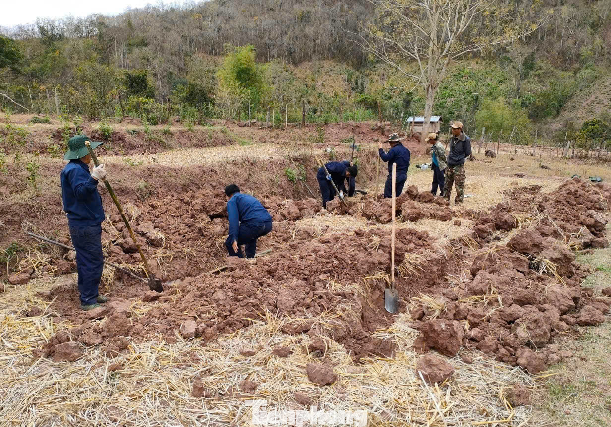 Hằng năm, Đội Quy tập có khoảng 80 cán bộ, chiến sĩ sang nước bạn Lào để làm nhiệm vụ. Do đặc thù thời tiết nên công việc tìm kiếm mộ liệt sĩ được bắt đầu từ tháng 10 và kết thúc vào tháng 6 năm sau. Hằng năm, Đội Quy tập có khoảng 80 cán bộ, chiến sĩ sang nước bạn Lào để làm nhiệm vụ. Do đặc thù thời tiết nên công việc tìm kiếm mộ liệt sĩ được bắt đầu từ tháng 10 và kết thúc vào tháng 6 năm sau.