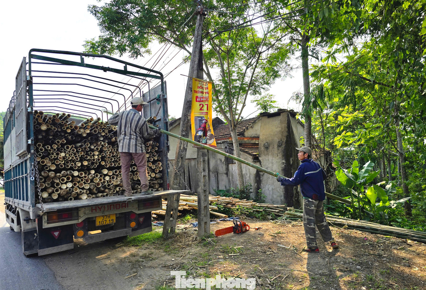 Ông Nguyễn Hải Âu - Hạt trưởng Hạt kiểm lâm huyện Tương Dương - cho biết, tre mét được trồng theo bụi, thu hoạch theo phương pháp “tỉa” dần chứ không thu hoạch trọc đồi núi. Ngoài việc phát triển kinh tế, loài cây này còn góp phần phủ xanh đồi trọc, giúp hạn chế lũ lụt rất tốt. Ông Nguyễn Hải Âu - Hạt trưởng Hạt kiểm lâm huyện Tương Dương - cho biết, tre mét được trồng theo bụi, thu hoạch theo phương pháp “tỉa” dần chứ không thu hoạch trọc đồi núi. Ngoài việc phát triển kinh tế, loài cây này còn góp phần phủ xanh đồi trọc, giúp hạn chế lũ lụt rất tốt.