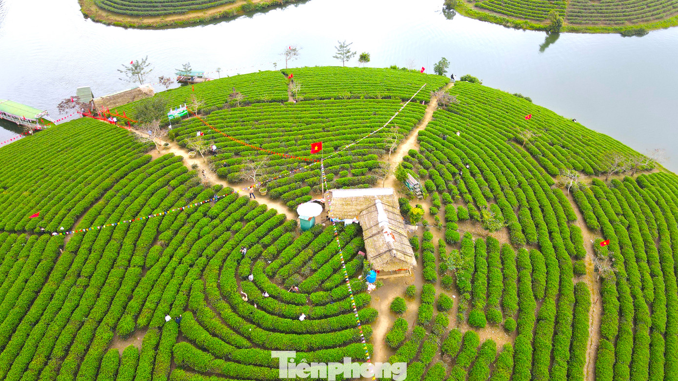 Với khung cảnh thiên nhiên hùng vĩ, đẹp tựa tranh vẽ, ốc đảo chè xanh thu hút rất nhiều khách du lịch trong nước và quốc tế đến tham quan, trải nghiệm.