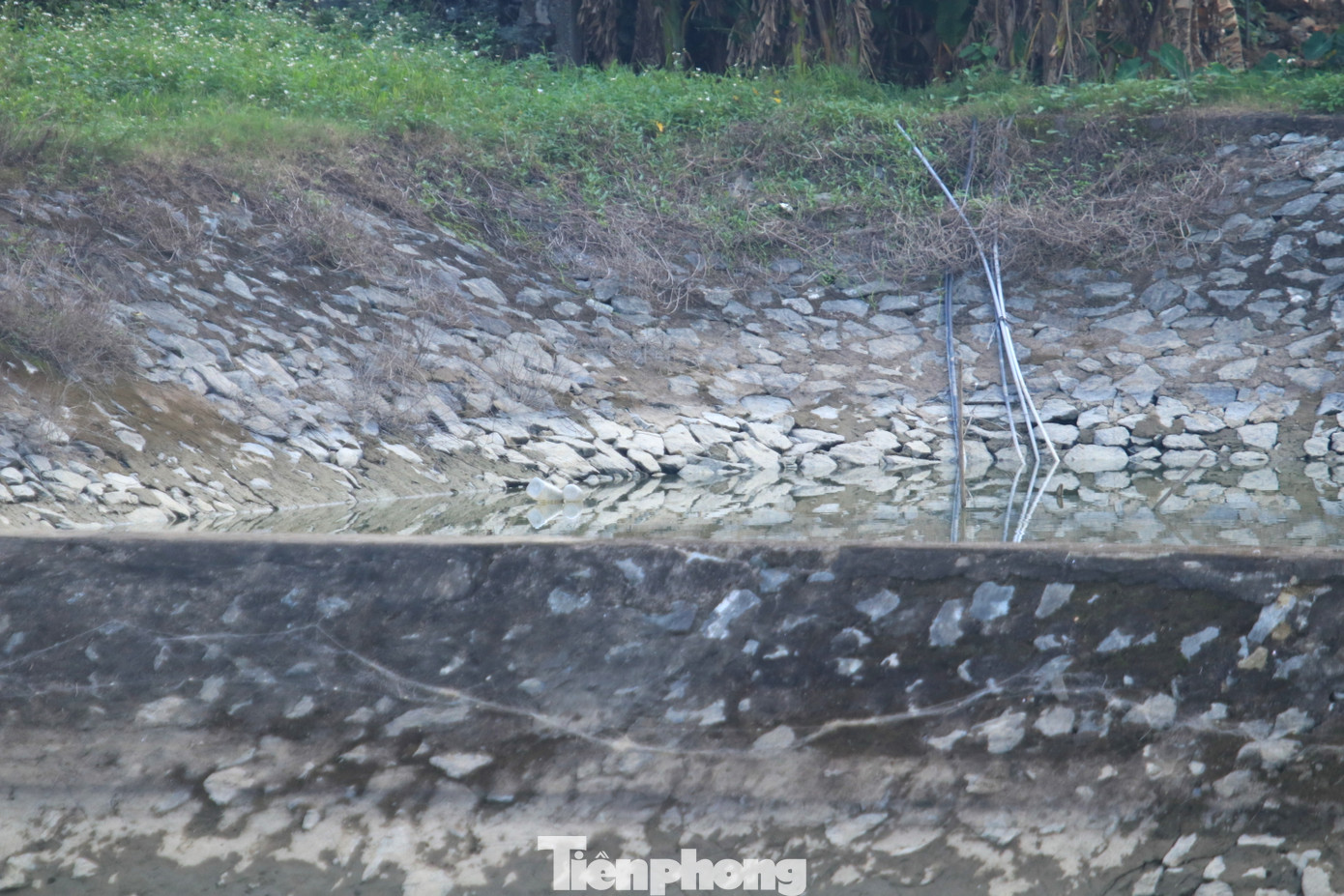 Lãnh đạo xã Hưng Thông cho biết, nhu cầu sử dụng nước sạch của người dân trên địa bàn là rất lớn. Nhiều lần địa phương đã có các kiến nghị lên cấp trên tìm hướng giải quyết nhưng đến nay nhà máy vẫn chưa thể đưa vào hoạt động.
