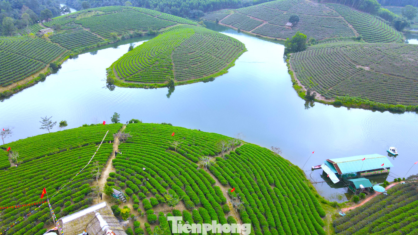 Nơi đây có cả trăm hộ dân trồng chè với diện tích lên đến hàng trăm ha. Những đồi chè xanh bát ngát, bao quanh bởi hồ nước trong xanh tạo nên nét vẽ đầy thơ mộng trong bức tranh quê hương xứ Nghệ thu hút đông đảo giới trẻ đến tham quan và check in.