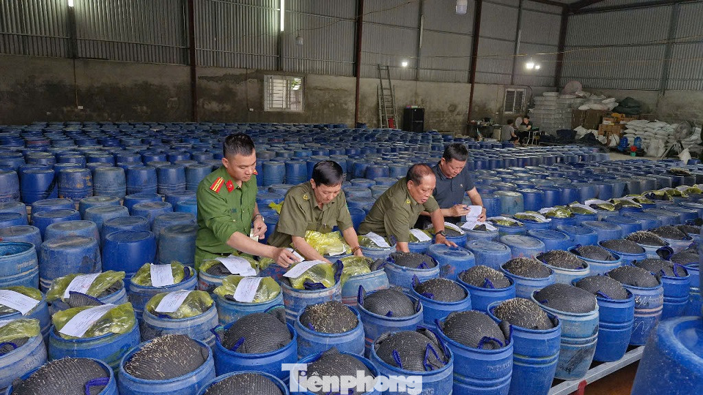 Trong đó, phường Vinh Tân có 2 cơ sở sản xuất giá đỗ bị công an triệt phá gồm cơ sở tại ngõ 123, đường Phạm Hồng Thái (khối Yên Giang) và cơ sở tại khối 2, phường Vinh Tân (TP. Vinh). Cả 2 cơ sở do Nguyễn Văn Hướng (SN 1998) làm chủ. Trong đó, phường Vinh Tân có 2 cơ sở sản xuất giá đỗ bị công an triệt phá gồm cơ sở tại ngõ 123, đường Phạm Hồng Thái (khối Yên Giang) và cơ sở tại khối 2, phường Vinh Tân (TP. Vinh). Cả 2 cơ sở do Nguyễn Văn Hướng (SN 1998) làm chủ.