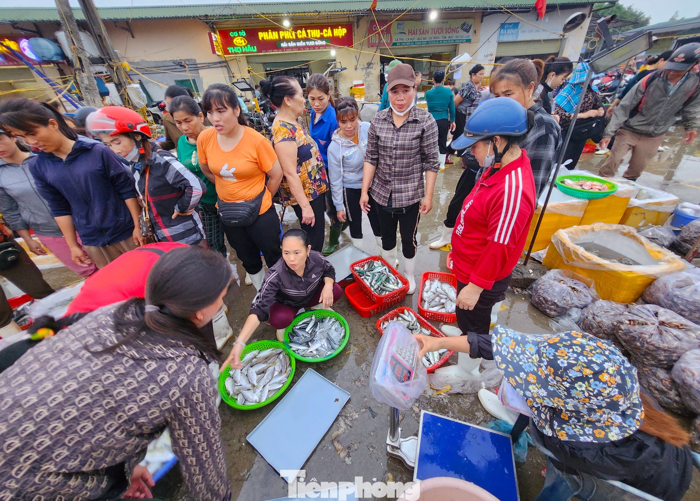 Cảnh nhộn nhịp, tấp nập tại chợ bến cá Nghi Thủy mỗi lúc bình minh lên.