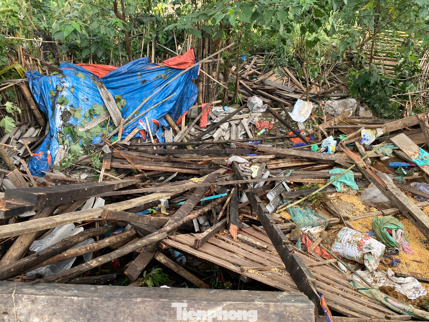 Sau ít phút vật lộn, bà Chẹ cùng vợ chồng người con thoát được ra. Tuy nhiên, cháu nội bà Chẹ là T.C.C (SN 2020) bị kẹt trong đống đổ nát, mọi người không thể tìm thấy.