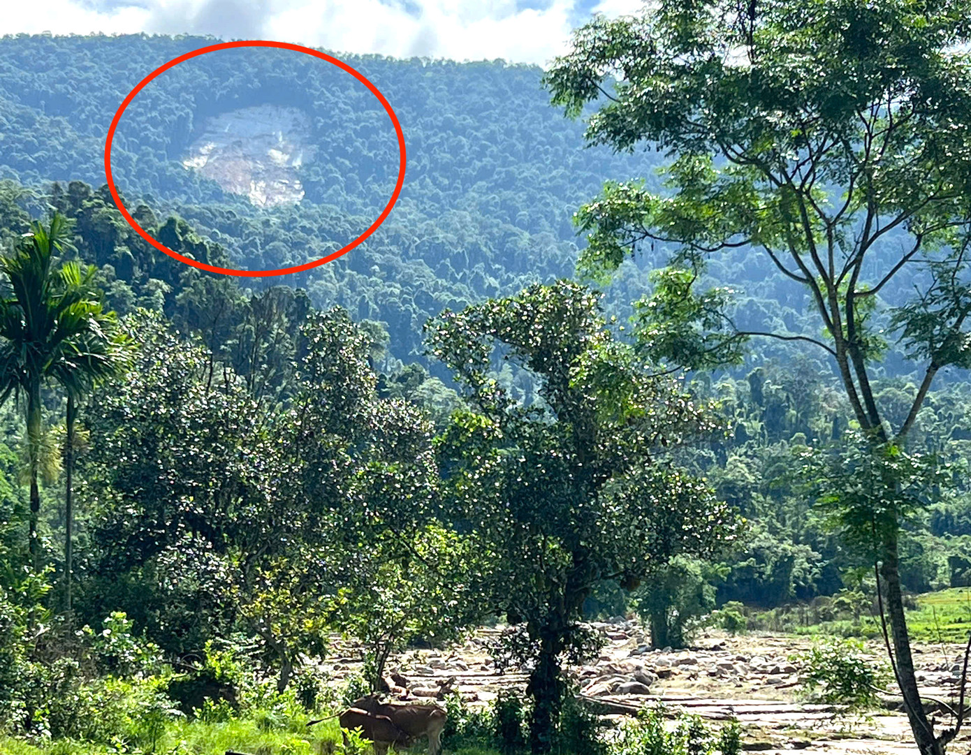 Nhìn từ xa có thể thấy, một mảng đất đá, cây cối trên núi khu vực thượng nguồn bị sạt lở sau trận lũ quét.