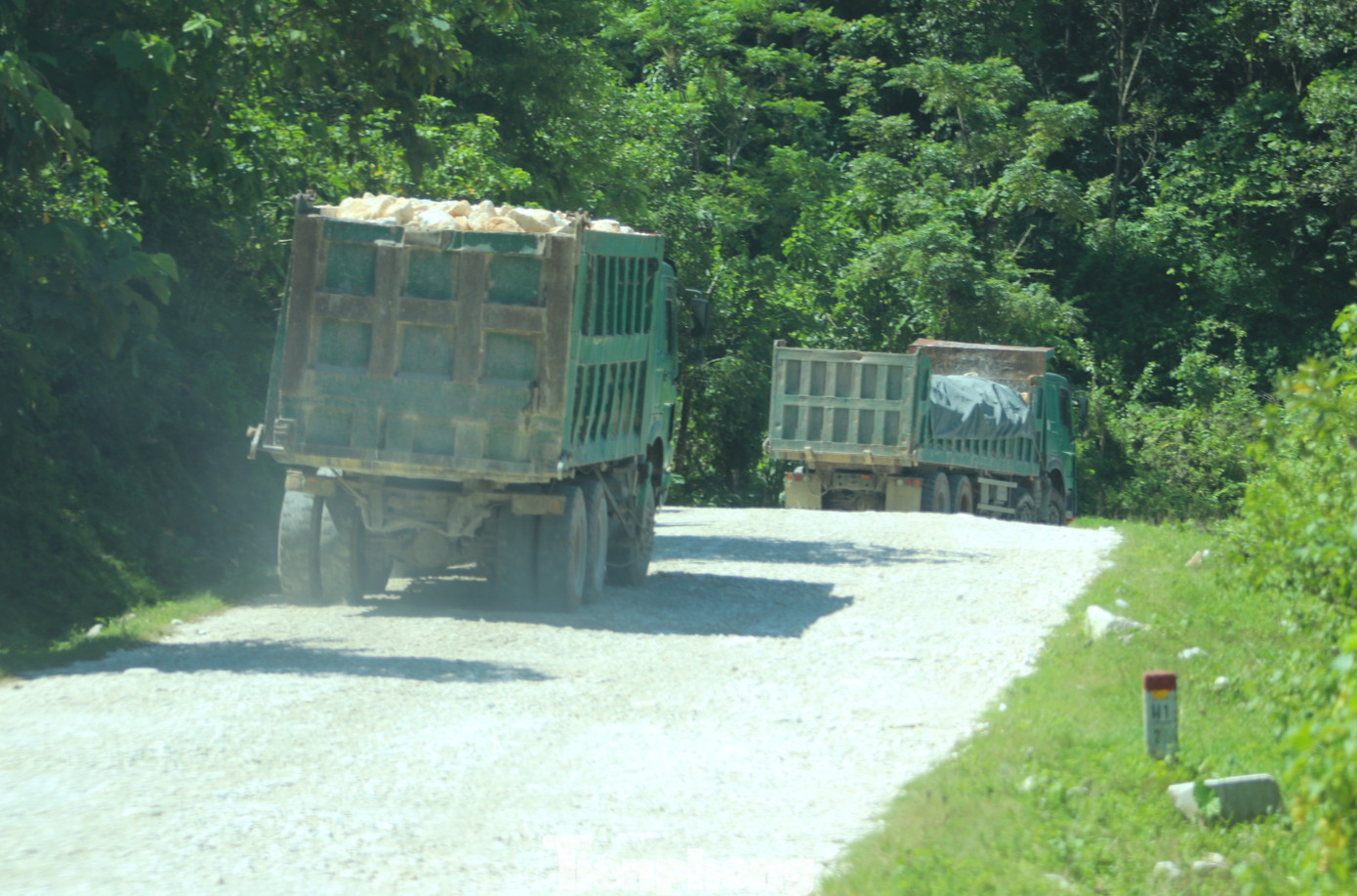 Ghi nhận của PV những ngày giữa tháng 8/2023, những chiếc xe chở đầy đá trắng "nghênh ngang" đi trên tỉnh lộ 532, đoạn qua xã Châu Hồng, Châu Thành (huyện Quỳ Hợp, Nghệ An). Nhiều chiếc xe đã cũ kỹ, không gắn biển kiểm soát.