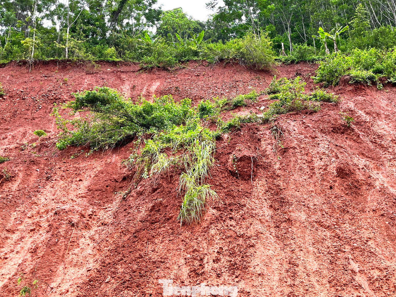 Có 3 điểm sạt lở trên quốc lộ 7 gồm một điểm tại xã Tà Cạ và 2 điểm tại xã Nậm Cắn. “Hiện chỉ mới sạt lở nhẹ, các xe ô tô vẫn đang đi qua được. Nếu ngừng mưa thì hy vọng không sao. Nhưng nếu tiếp tục mưa thì có nguy cơ đất từ đồi núi sạt xuống tắc đường”, ông Thò Bá Rê nói. Có 3 điểm sạt lở trên quốc lộ 7 gồm một điểm tại xã Tà Cạ và 2 điểm tại xã Nậm Cắn. “Hiện chỉ mới sạt lở nhẹ, các xe ô tô vẫn đang đi qua được. Nếu ngừng mưa thì hy vọng không sao. Nhưng nếu tiếp tục mưa thì có nguy cơ đất từ đồi núi sạt xuống tắc đường”, ông Thò Bá Rê nói.