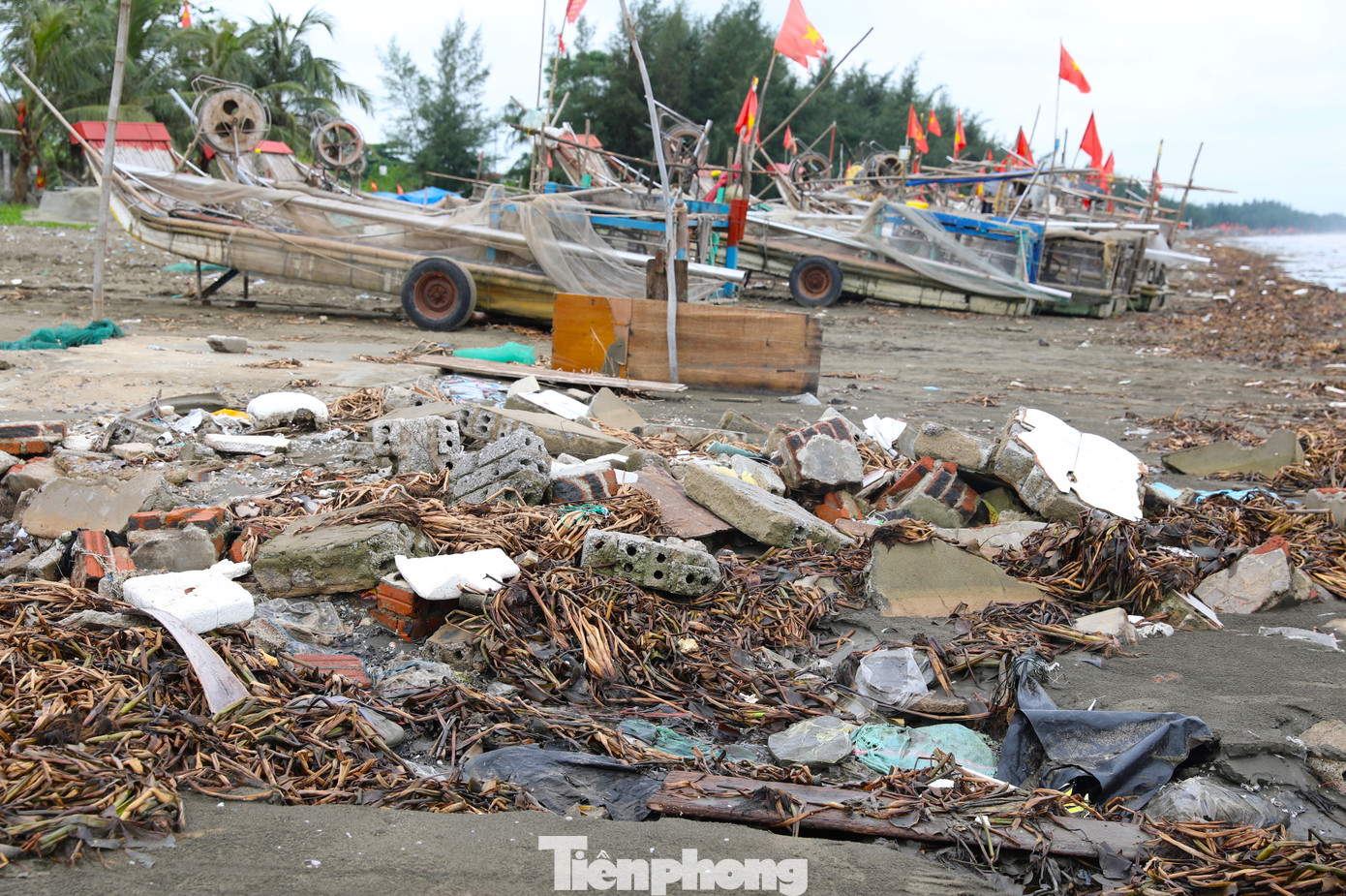 Mới đây nhất, ngày 11/6, Sở Du lịch Nghệ An đã có văn bản gửi UBND huyện Diễn Châu đề nghị xử lý vấn đề rác thải ngập tràn tại bãi biển xã Diễn Thành và Diễn Kim. Để đảm bảo công tác vệ sinh môi trường, UBND huyện Diễn Châu yêu cầu UBND xã Diễn Thành, Diễn Kim kịp thời tổ chức ra quân đồng loạt, thu gom và xử lý rác thải theo quy định.