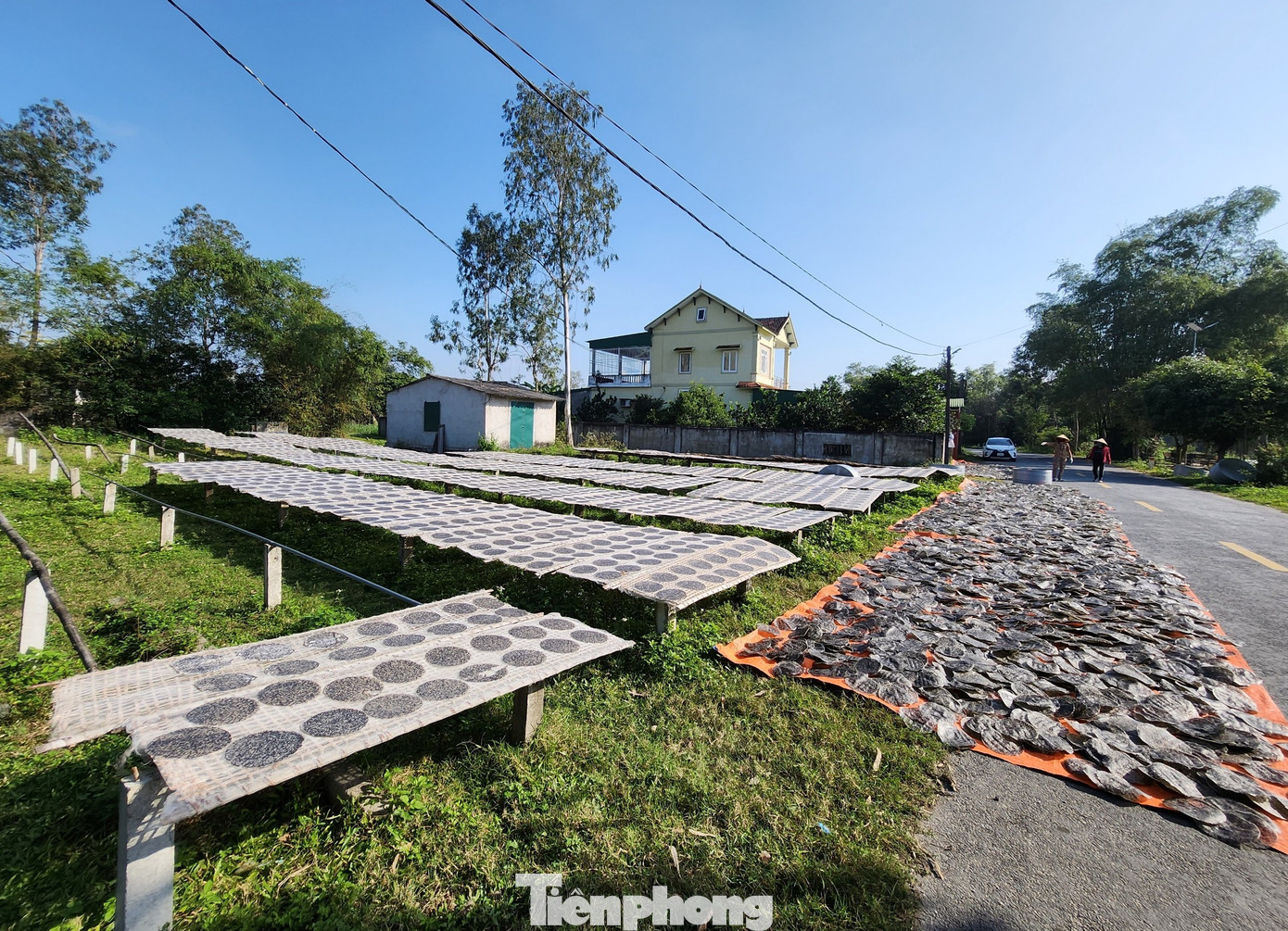 Ở làng Tây Lân có nhiều cơ sở làm bánh đa nên tranh thủ những ngày nắng, các khoảng trống đều được tận dụng làm giàn phơi bánh. Ở làng Tây Lân có nhiều cơ sở làm bánh đa nên tranh thủ những ngày nắng, các khoảng trống đều được tận dụng làm giàn phơi bánh.